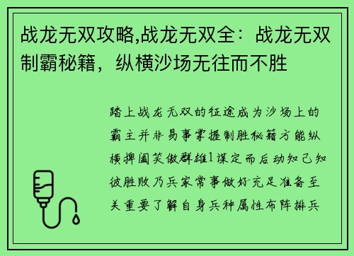 战龙无双攻略,战龙无双全:战龙无双制霸秘籍,纵横沙场无往而不胜